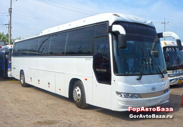 Услуги и аренда автобусов
